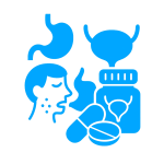 Układ Moczowy i Pokarmowy